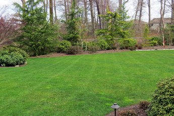 lawn fertilizing programs